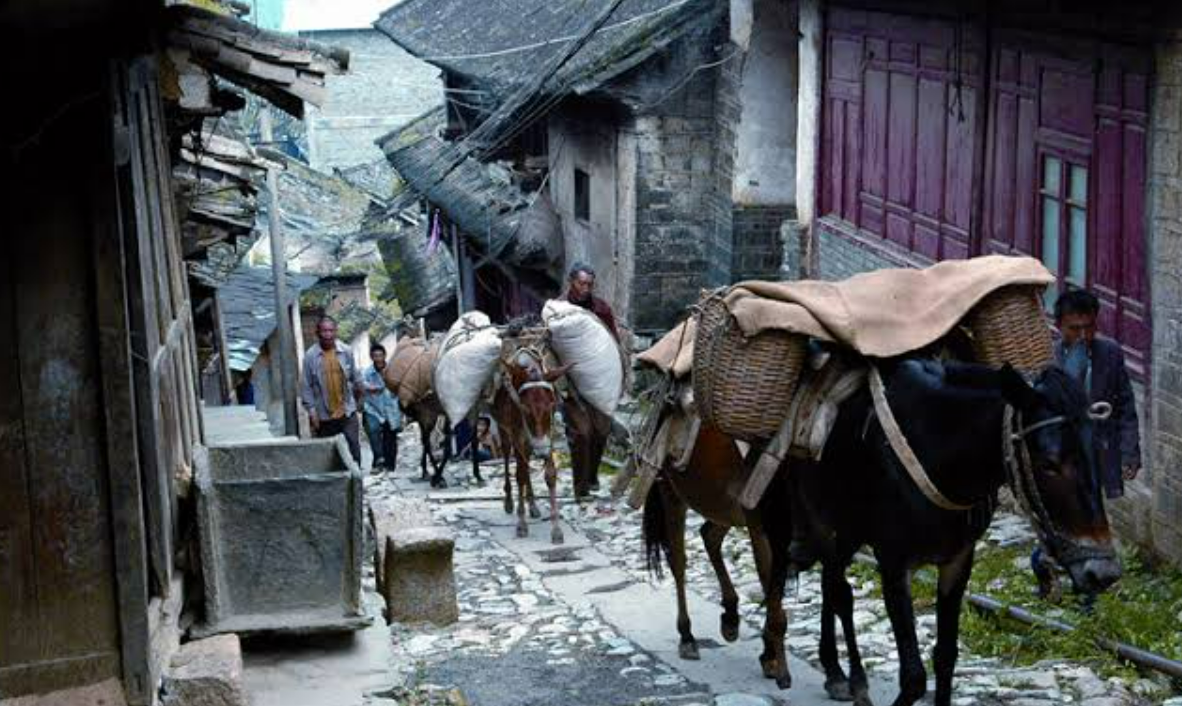Ancient Tea Horse Road